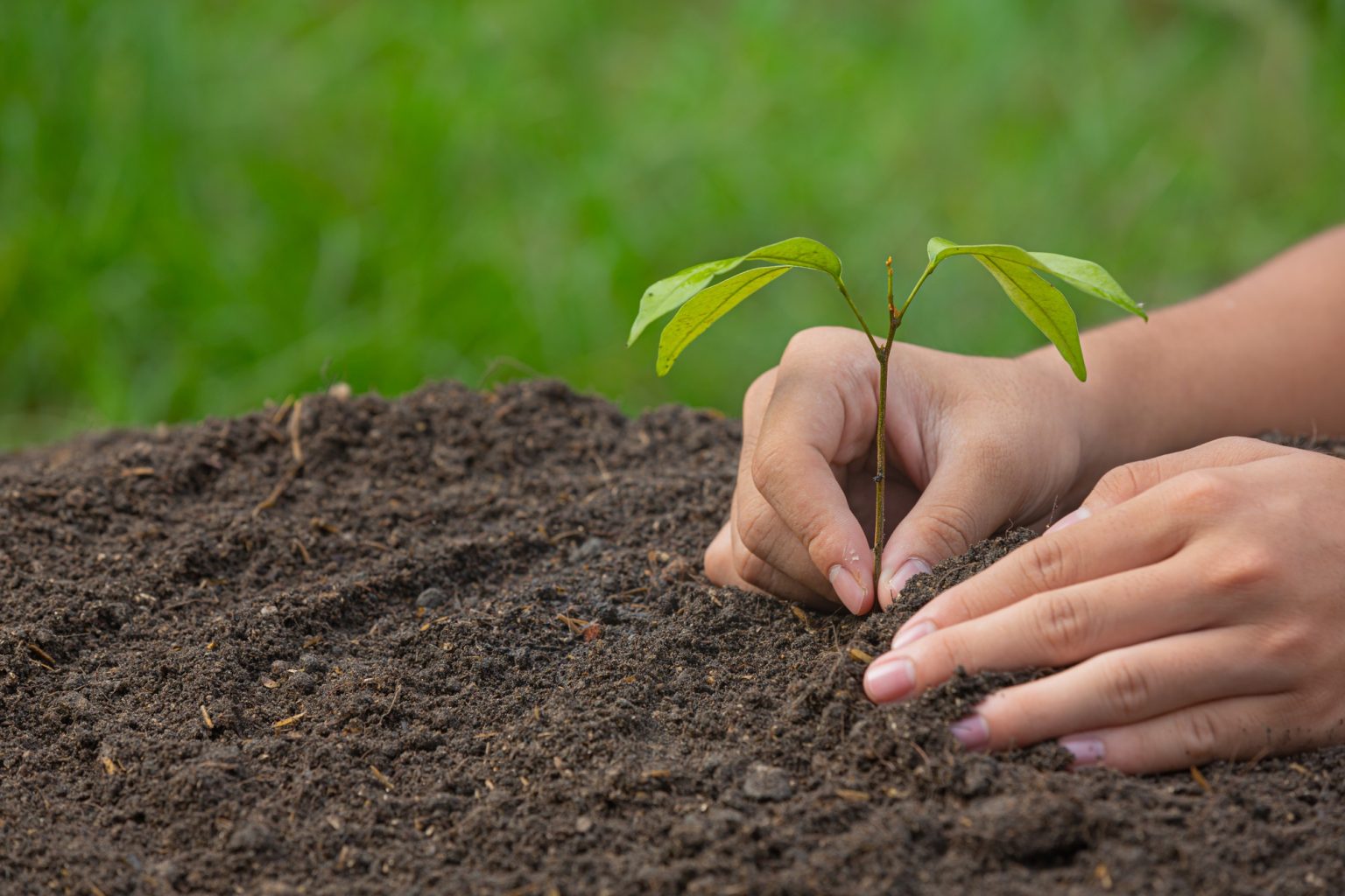 Sustainable Approach